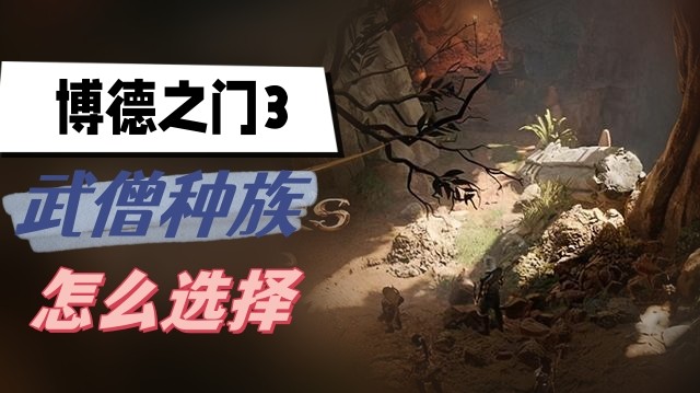 博德之门3武僧怎么选-博德之门3武僧种族选择一览