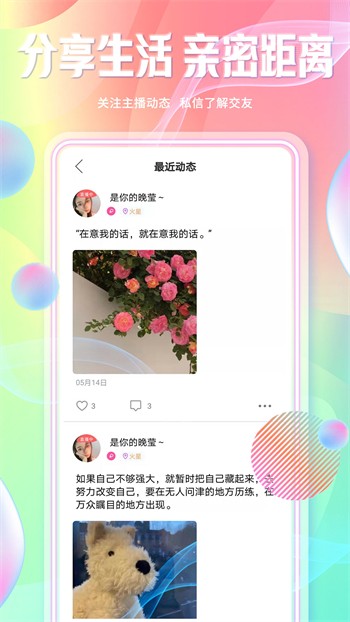 蘑菇tv手机版免费下载