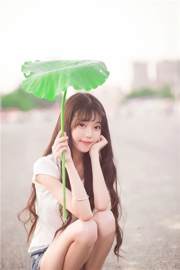 白蝴蝶app免费版下载