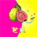 老司机聚合旧版本