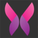 新娘圈安装包下载大全
