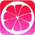鉴黄师黄金版app下载大全