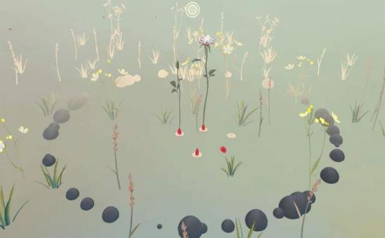 玫瑰花园2