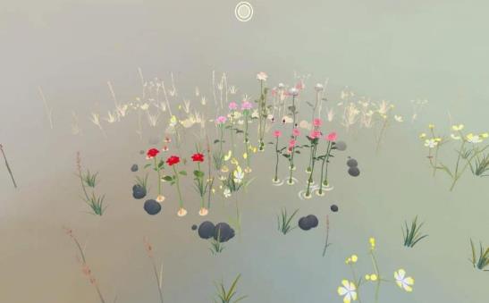 玫瑰花园3